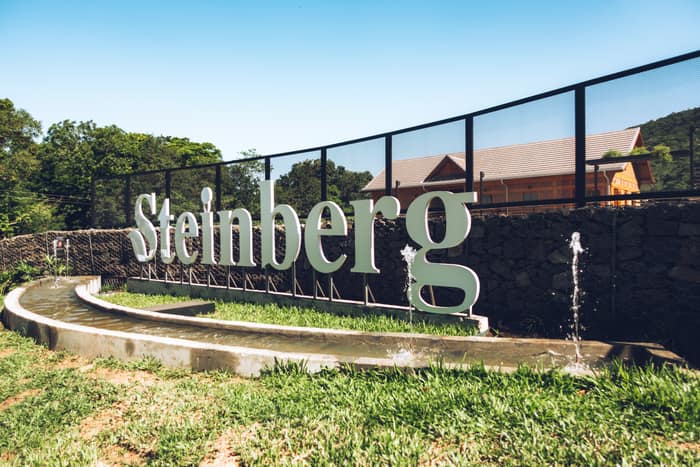 Steinberg — foto 6